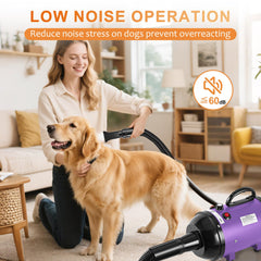 NESTROAD dog dryer 4 nozzles for versatile grooming