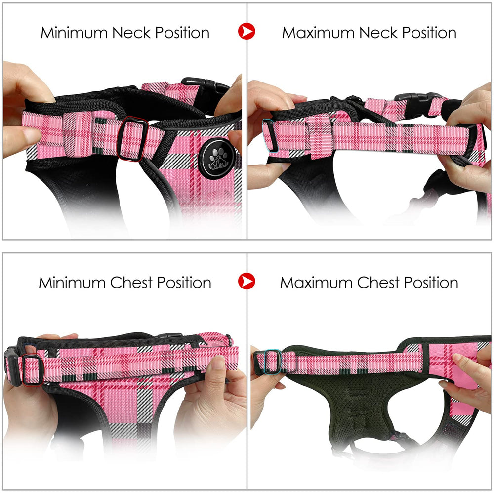 NESTROAD dog leash set pairing the harness with a coordinating leash