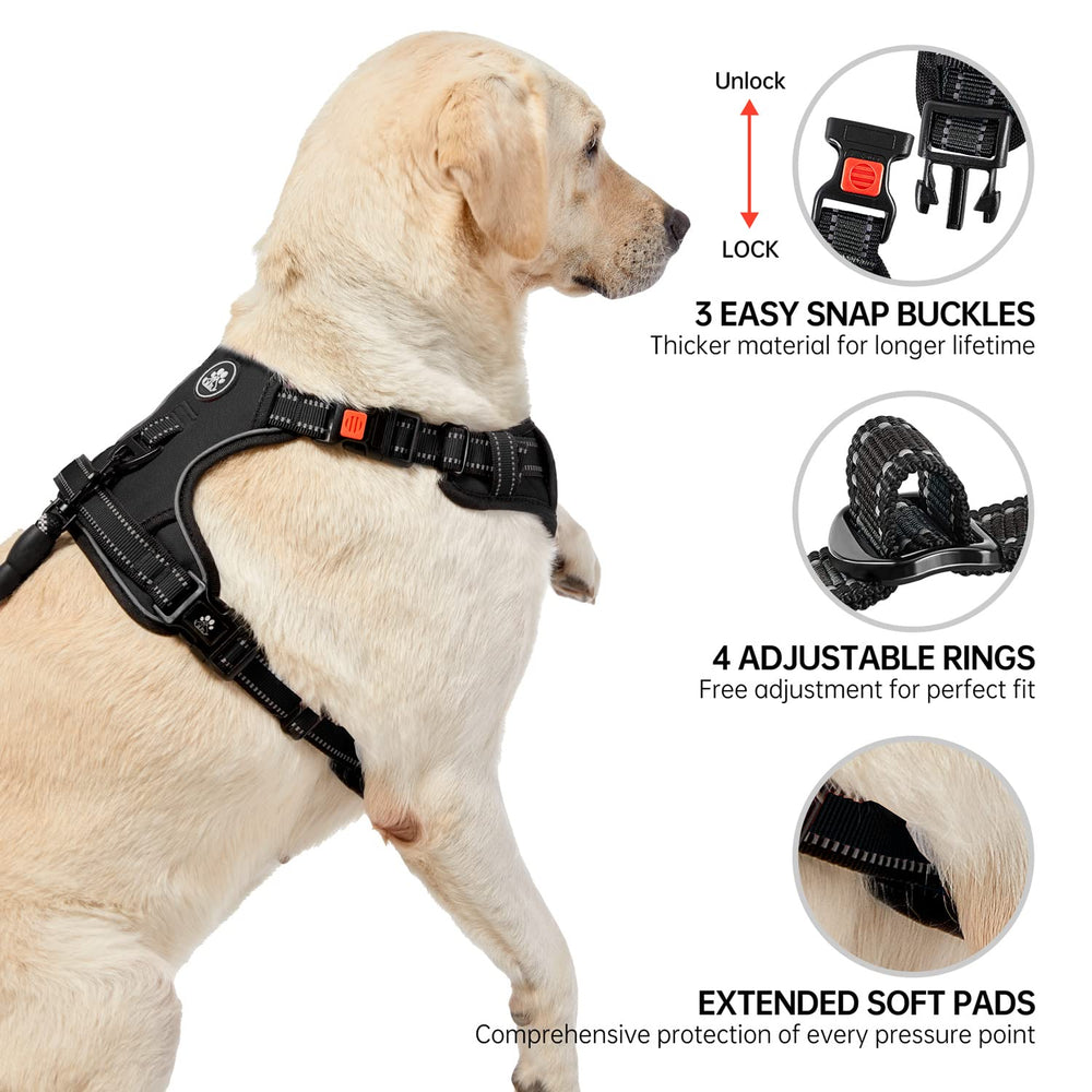 NESTROAD dog walking leash included for easy outdoor strolls.