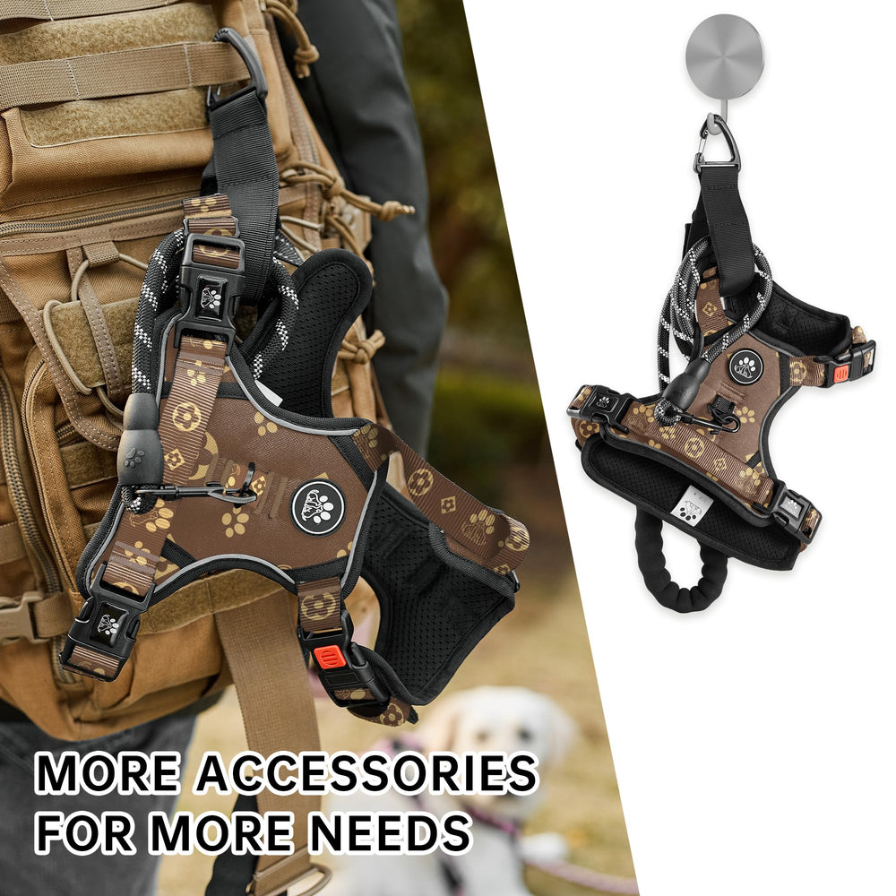 NestROAD Harness with leash and accessories provides complete walking setup