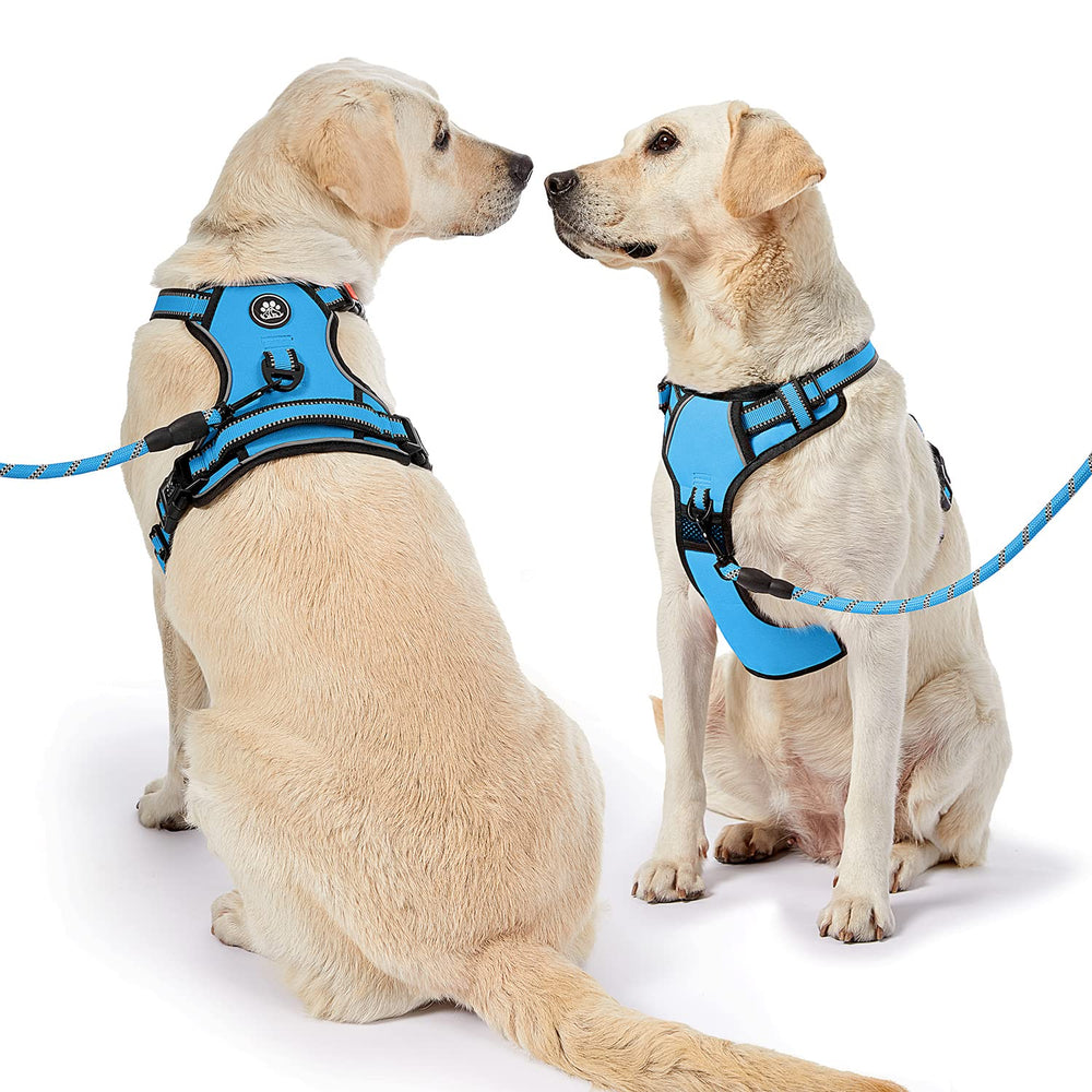 NESTROAD no-pull harness blue dog-walking scene shows safe strolls