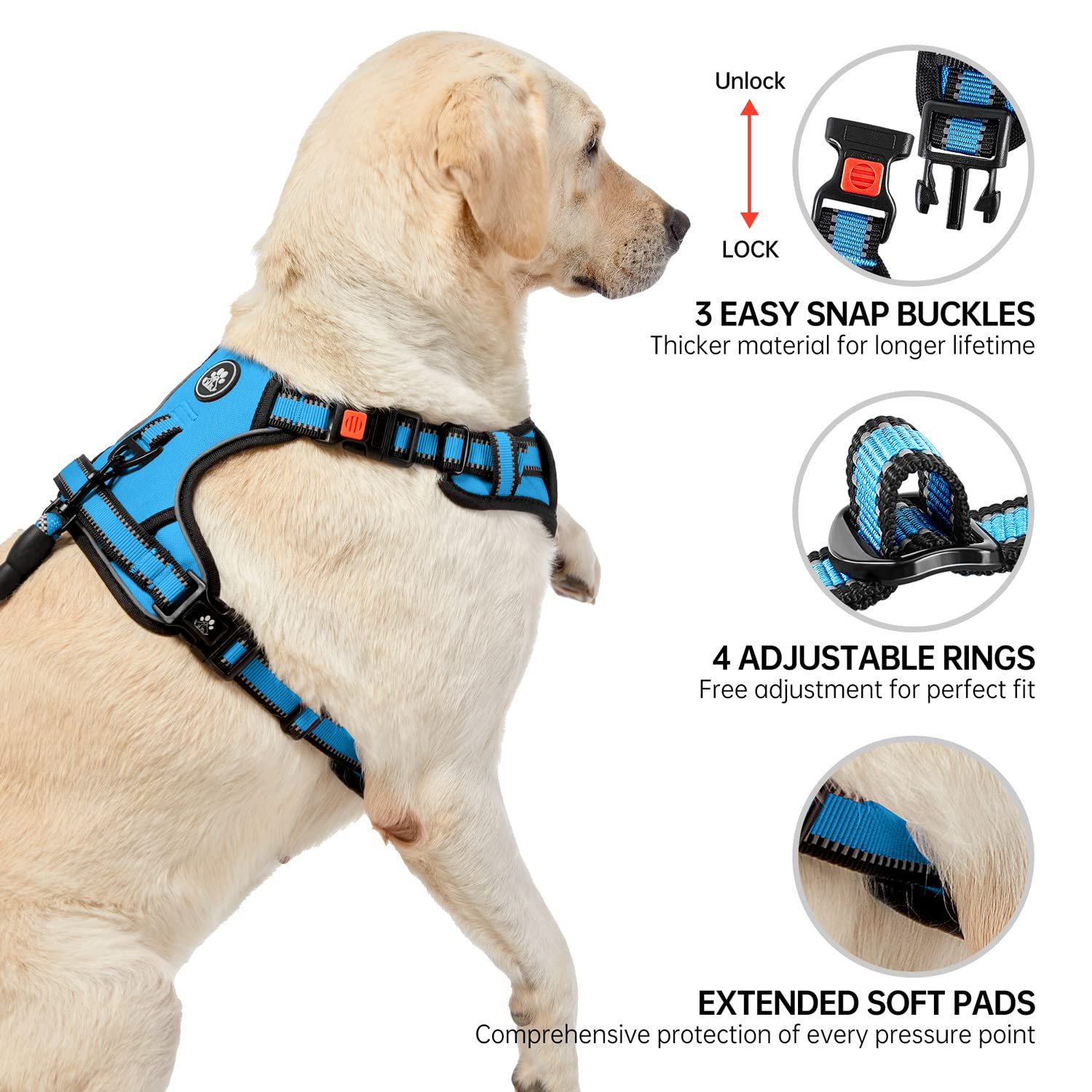 NESTROAD no-pull harness blue soft handle for confident control