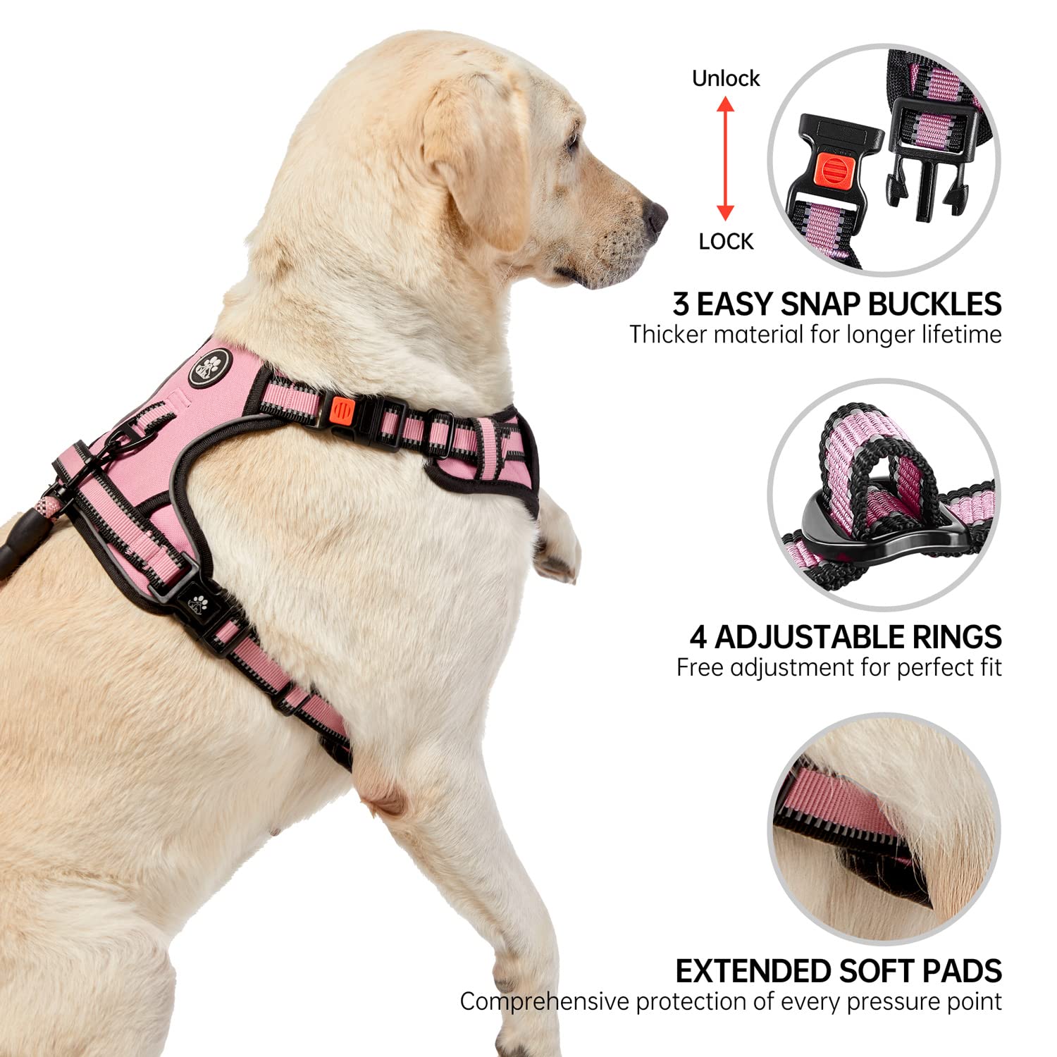 NESTROAD padded-breathable-inner with soft mesh keeps dogs comfortable.