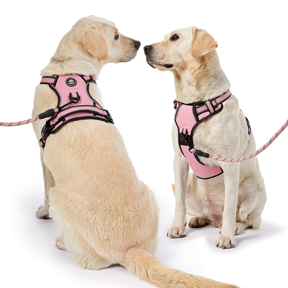 NESTROAD quick-release-buckles-soft-handle enables fast dressing.