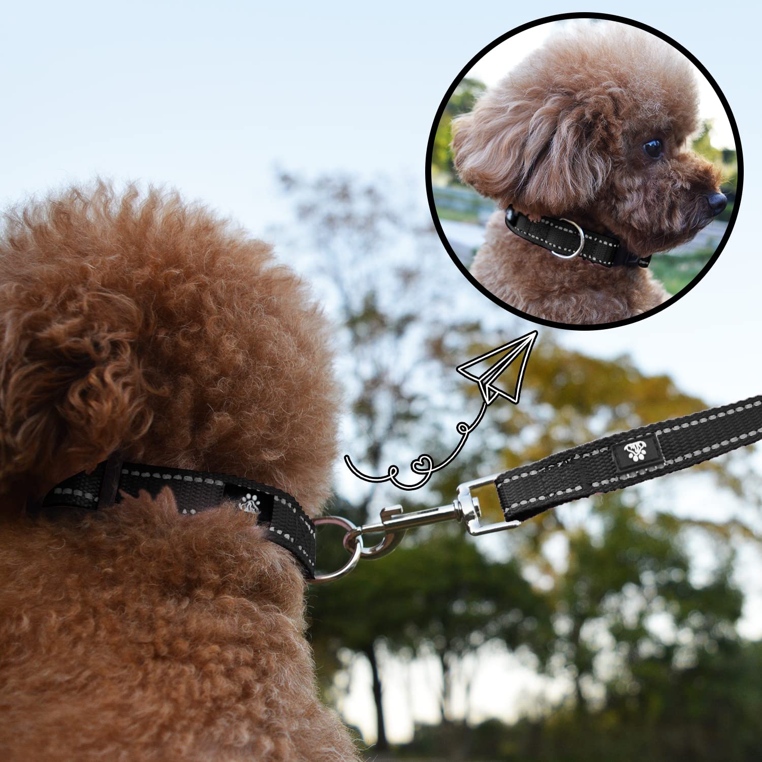 NESTROAD reflective-stitching collar boosts visibility during night walks.
