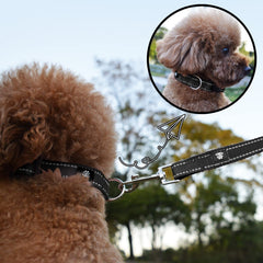 NESTROAD reflective-stitching collar boosts visibility during night walks.