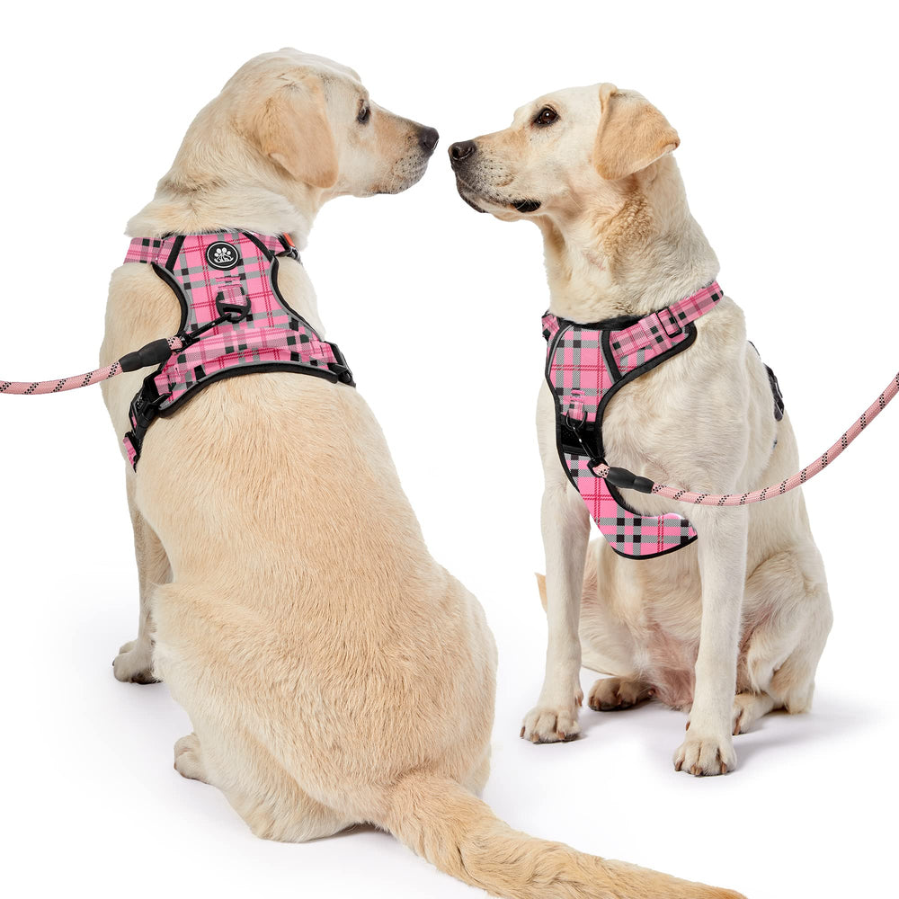 NESTROAD size-chart harnesses display multiple sizes for proper fit