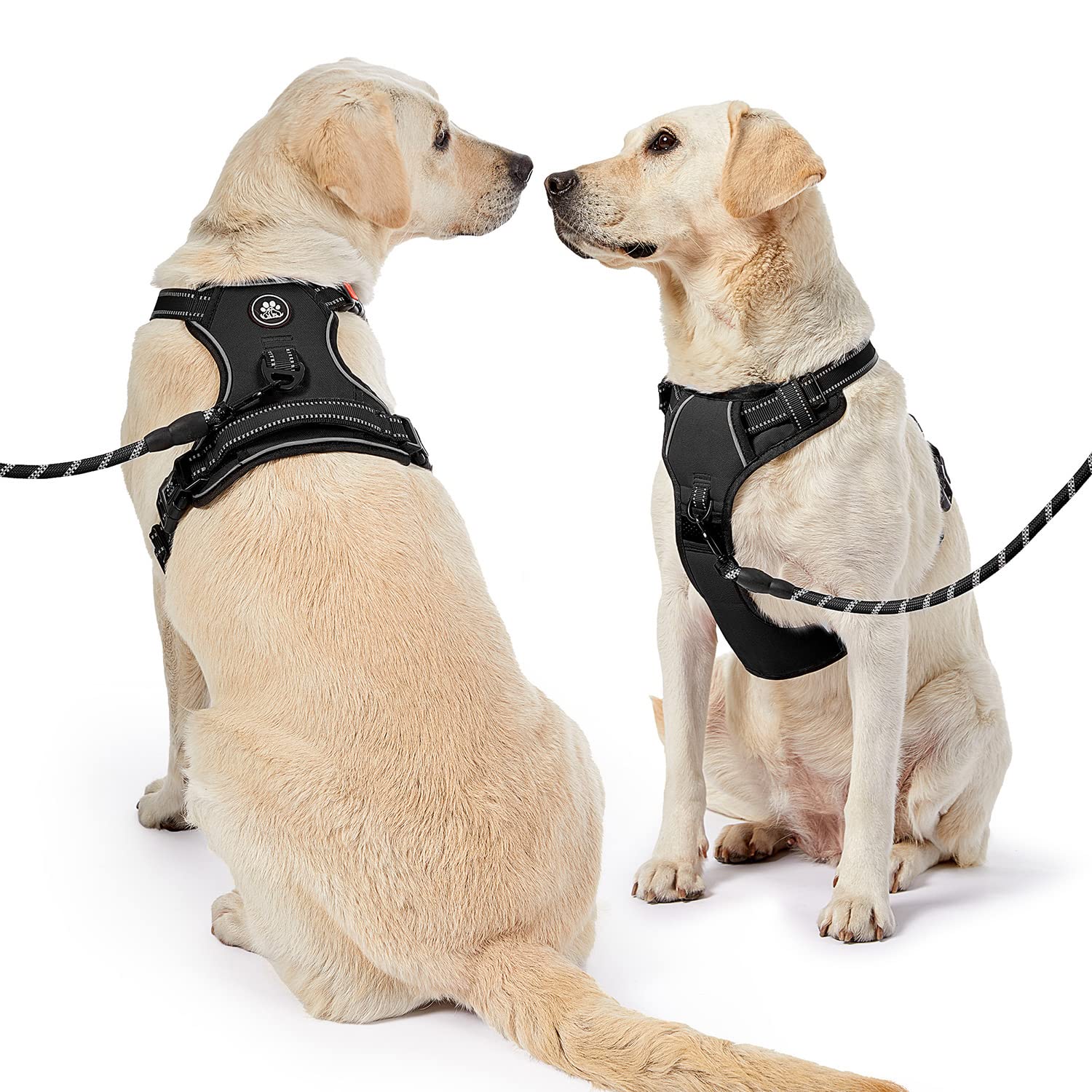 NESTROAD soft handle design for gentle control during walks.