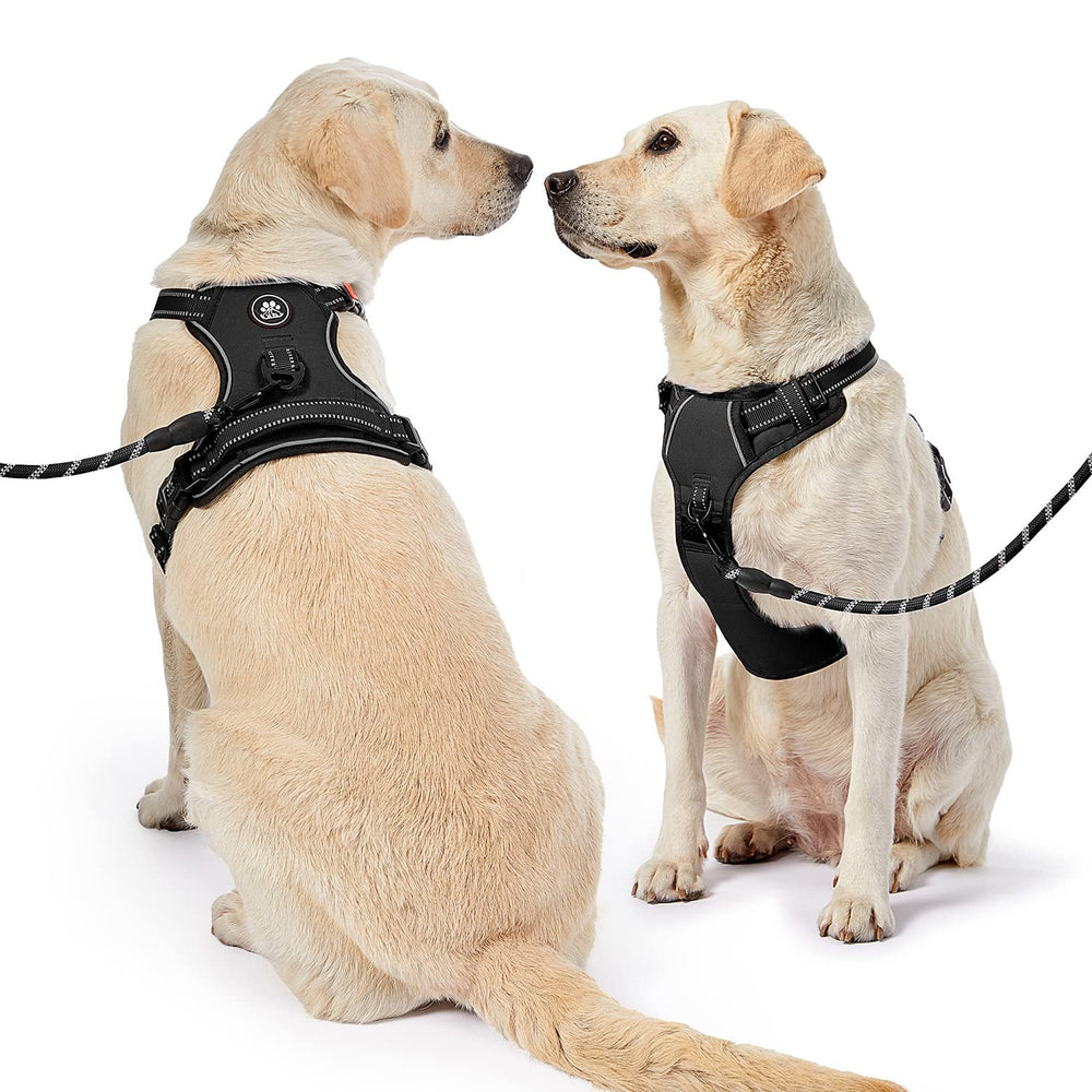 NESTROAD soft handle design for gentle control during walks.