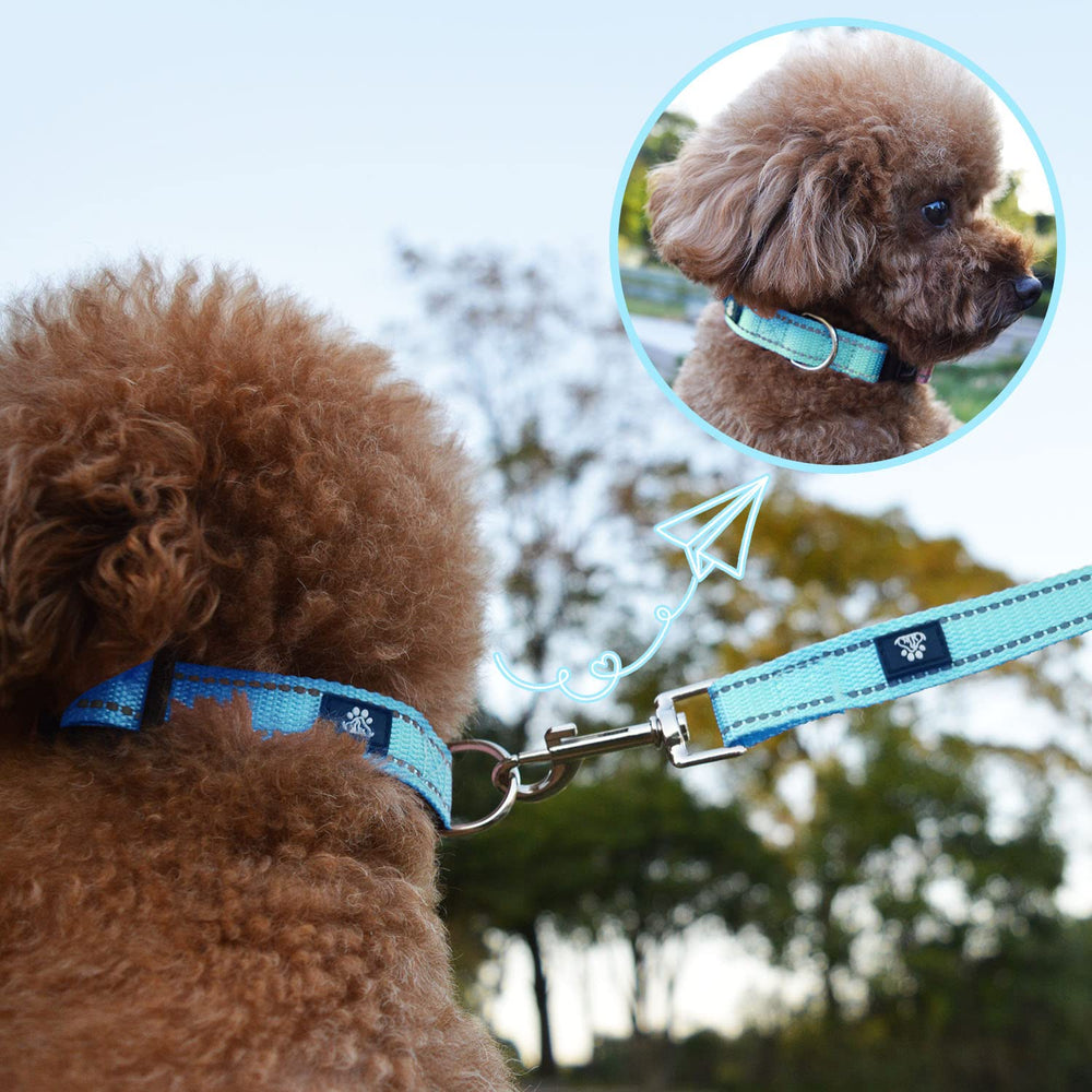 NESTROAD soft neoprene padding collar blue highlights comfortable daily wear.