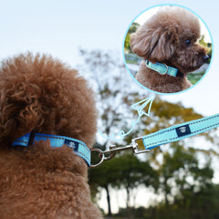 NESTROAD soft neoprene padding collar blue highlights comfortable daily wear.