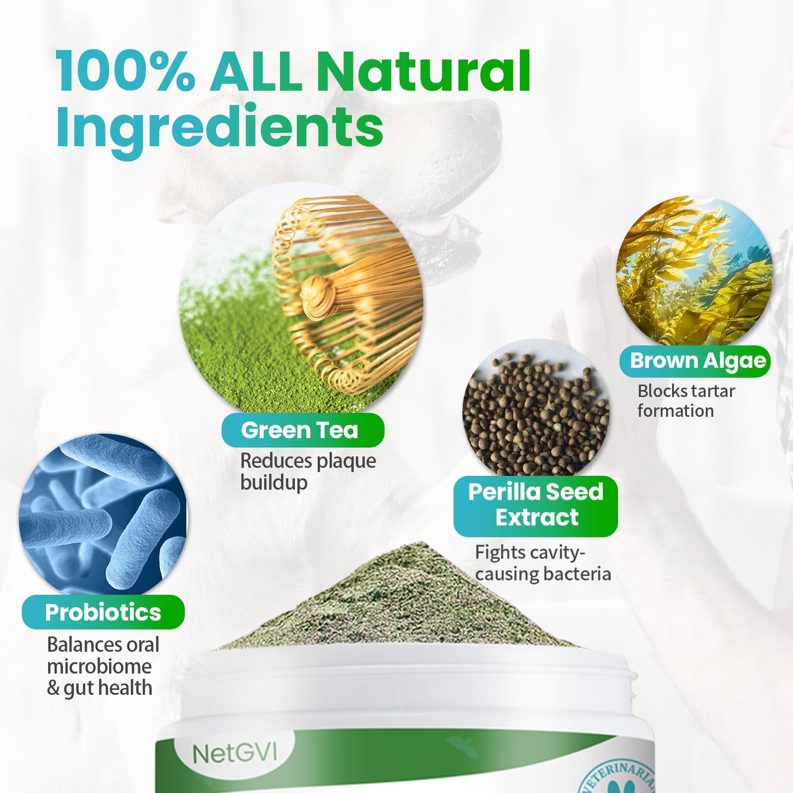 NetGVI dental powder granules close-up showing natural ingredients.