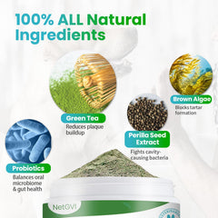 NetGVI dental powder granules close-up showing natural ingredients.