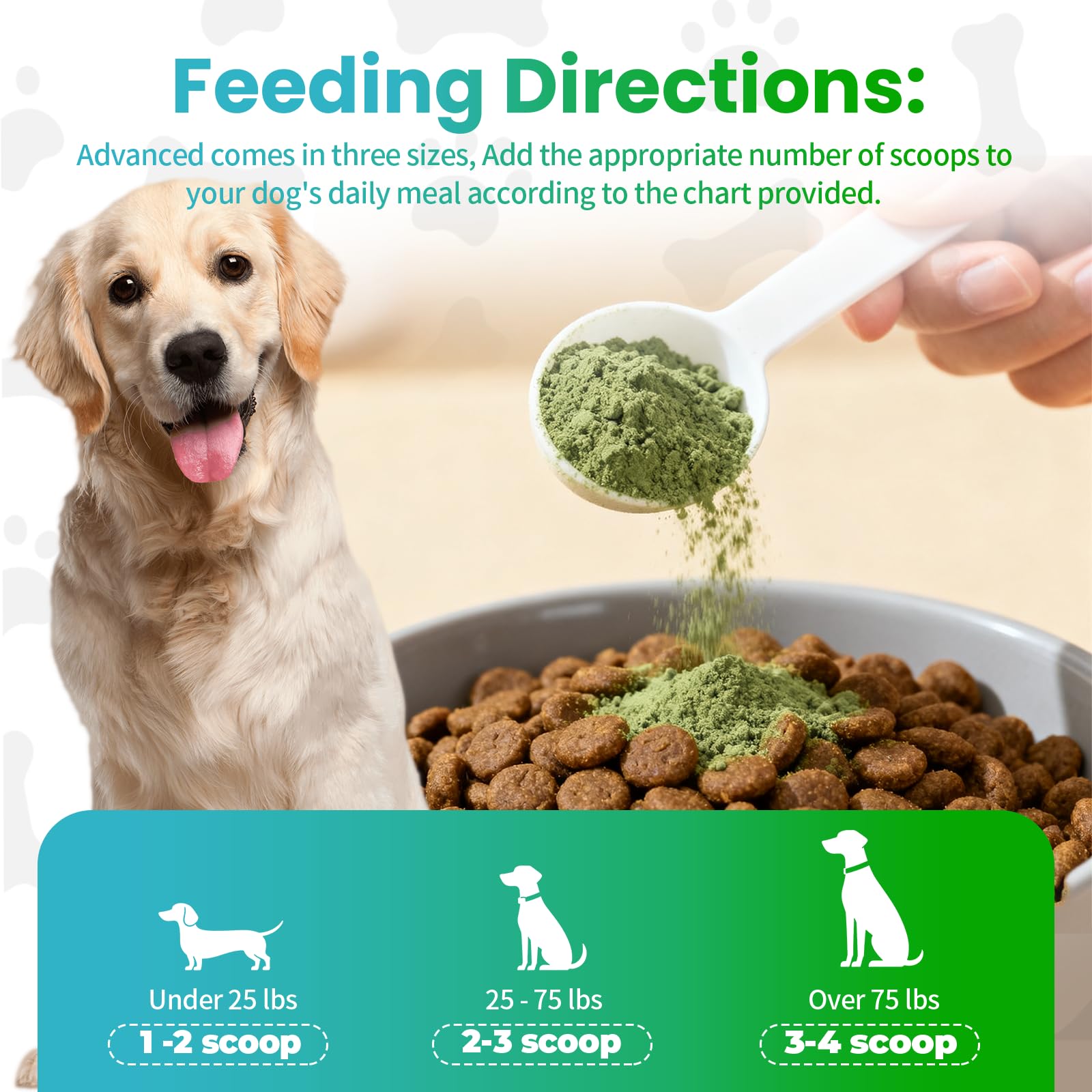 NetGVI label highlights 10B CFU probiotics per serving for gut support.