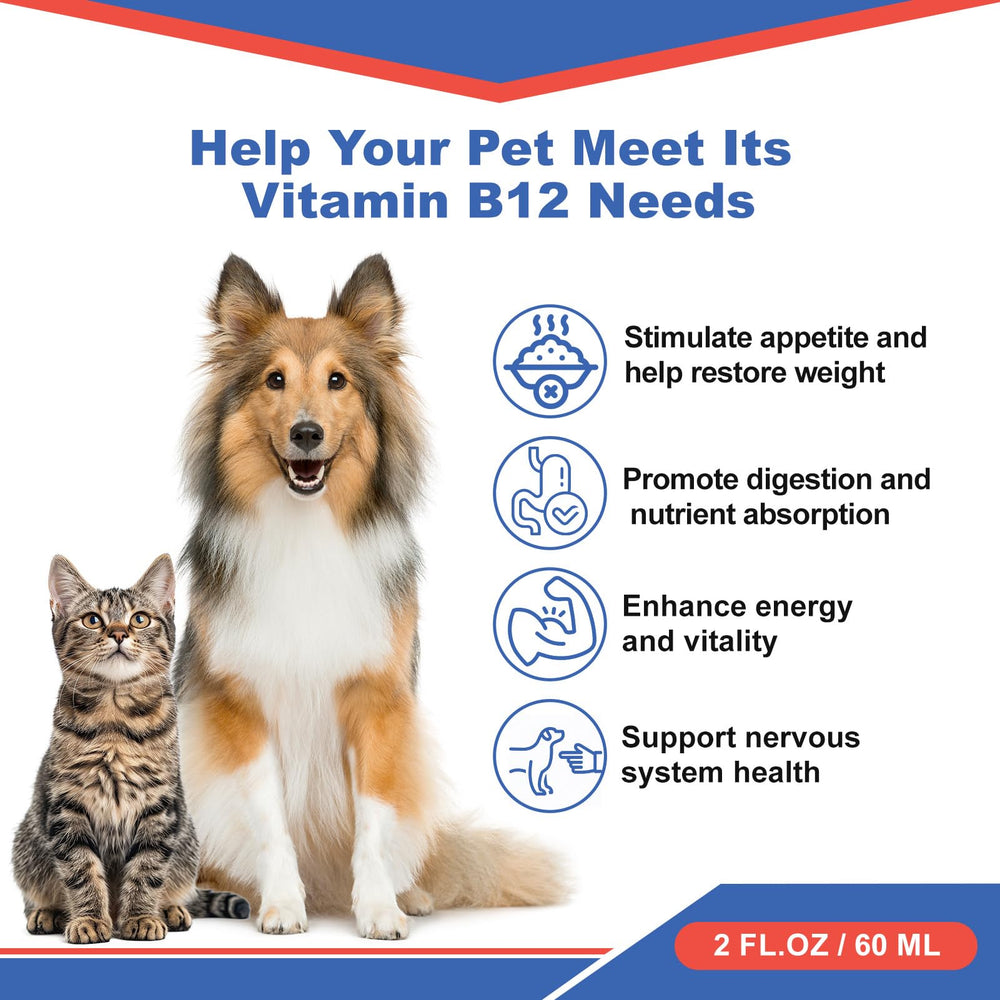 Netrca B12 liquid dosage dropper shows precise measurement for pet energy and appetite