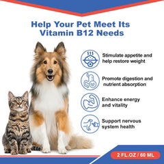 Netrca B12 liquid dosage dropper shows precise measurement for pet energy and appetite