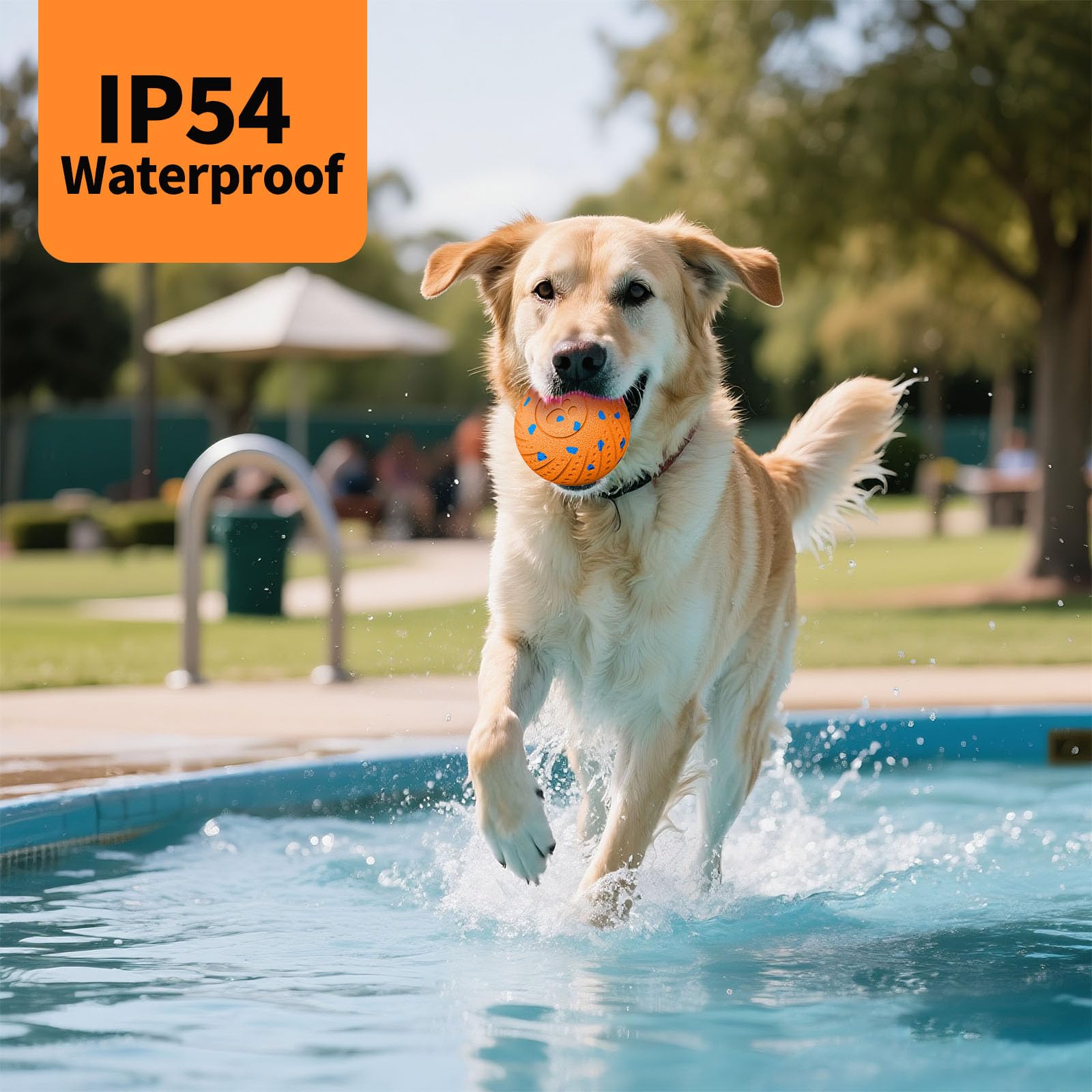 NETRCO IP54 waterproof dog ball suitable for outdoors and rain.