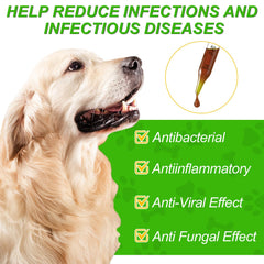 Netwik all-natural ingredients on dog skin and coat illustrate nourishing support.