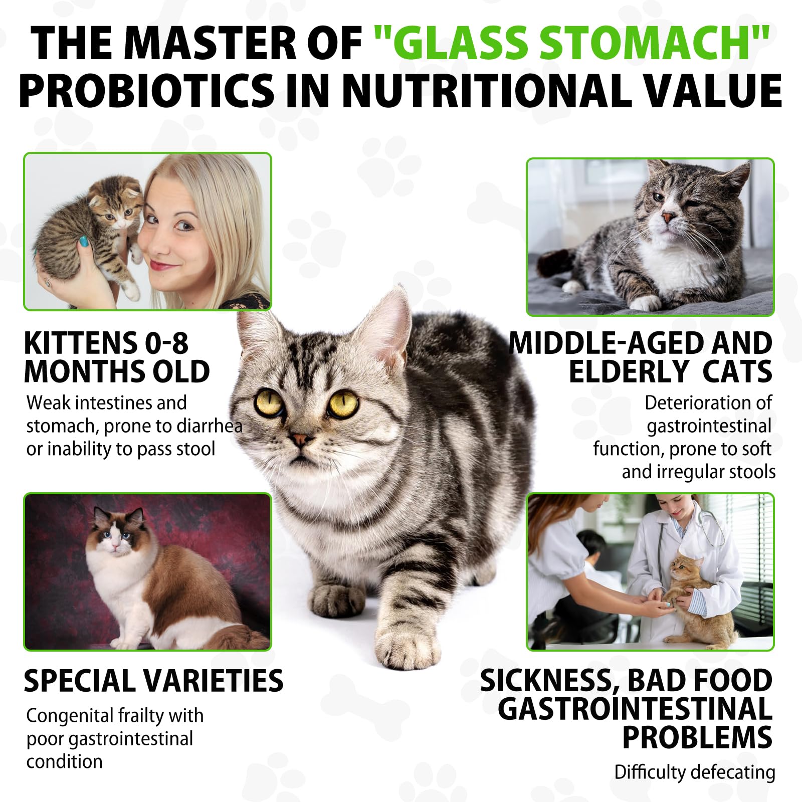 Netwik cat constipation relief dropper demonstrates precise dosing for gentle relief.