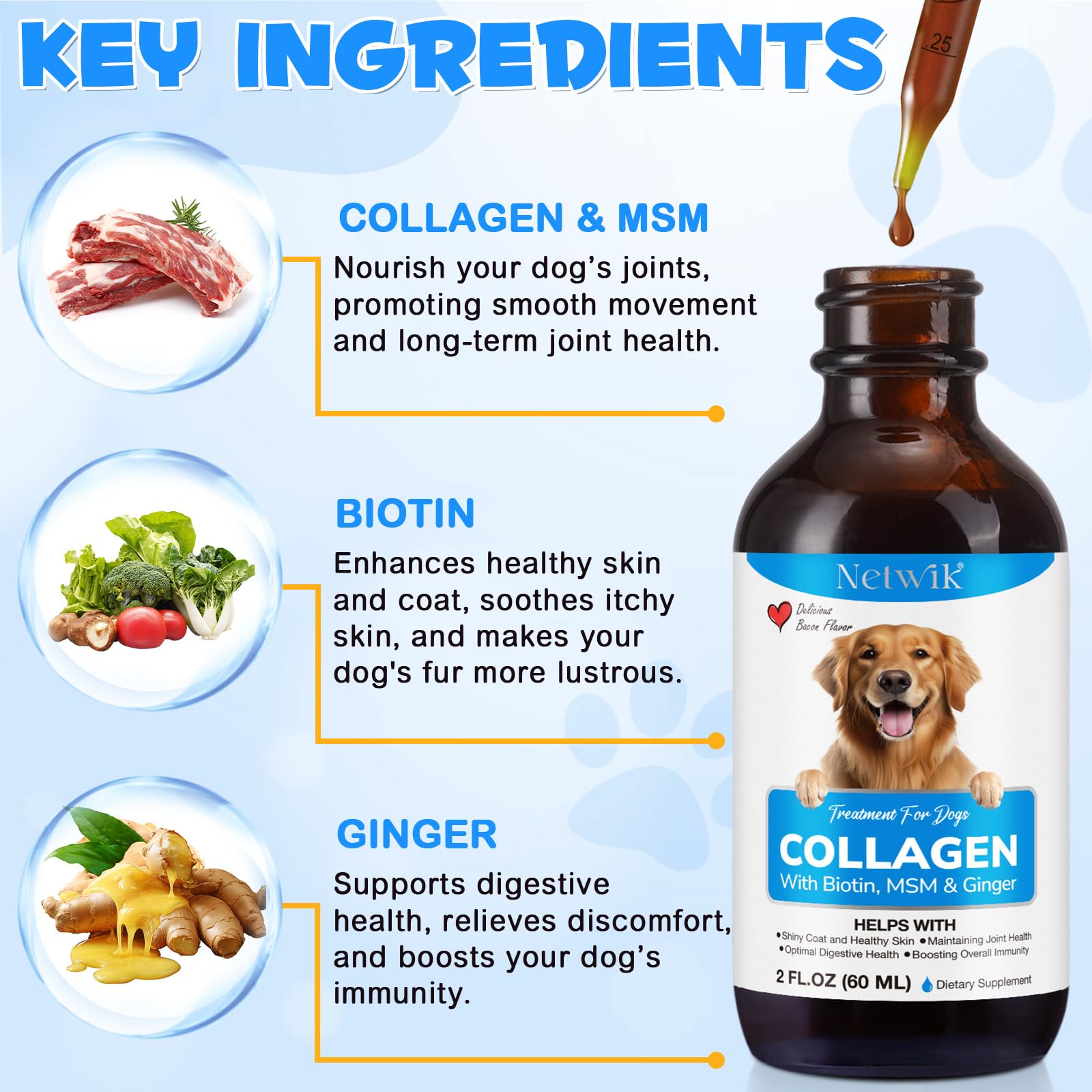 Netwik Collagen for Dogs coat shine close-up highlights glossy fur.