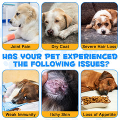 Netwik Collagen for Dogs joints image promotes mobility and activity.