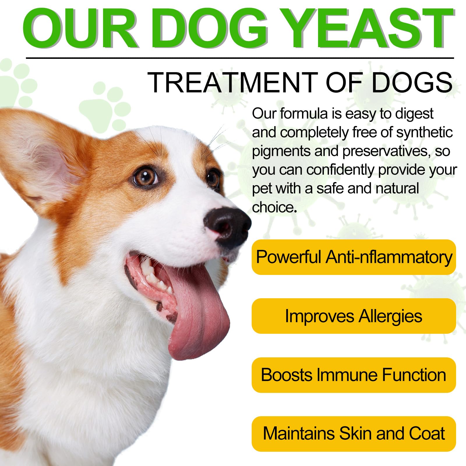 Netwik customer-service contact image suggests responsive support for pet health questions.