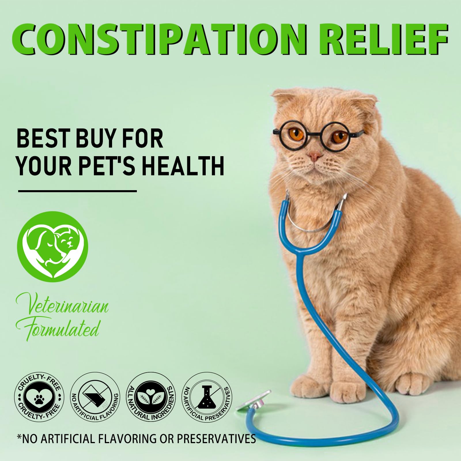 Netwik happy cat home image conveys a comfortable, happier cat post-relief.