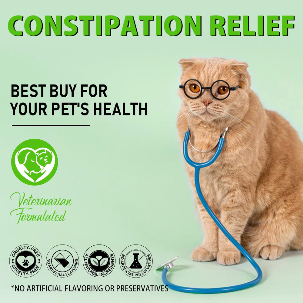 Netwik happy cat home image conveys a comfortable, happier cat post-relief.