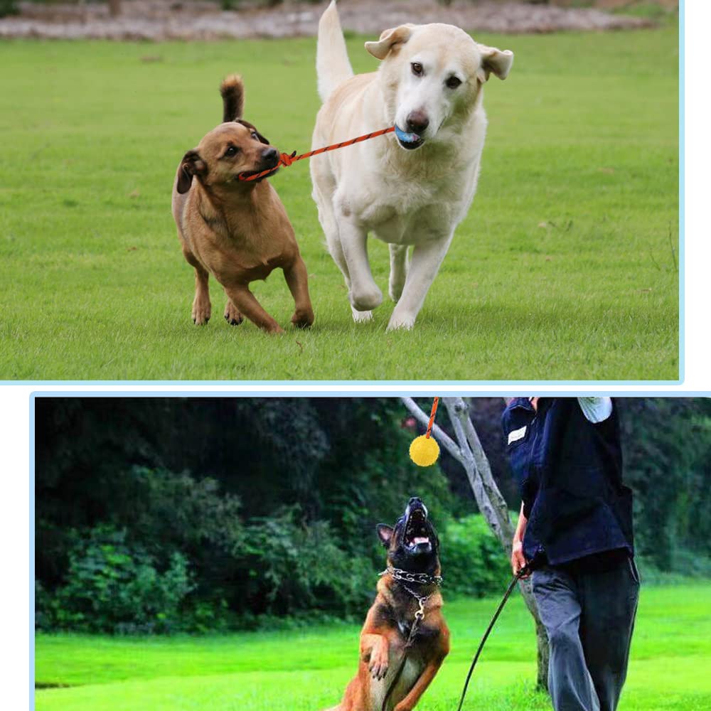 Nevperish ball rope design enhances durability and longer throws for energetic dogs.