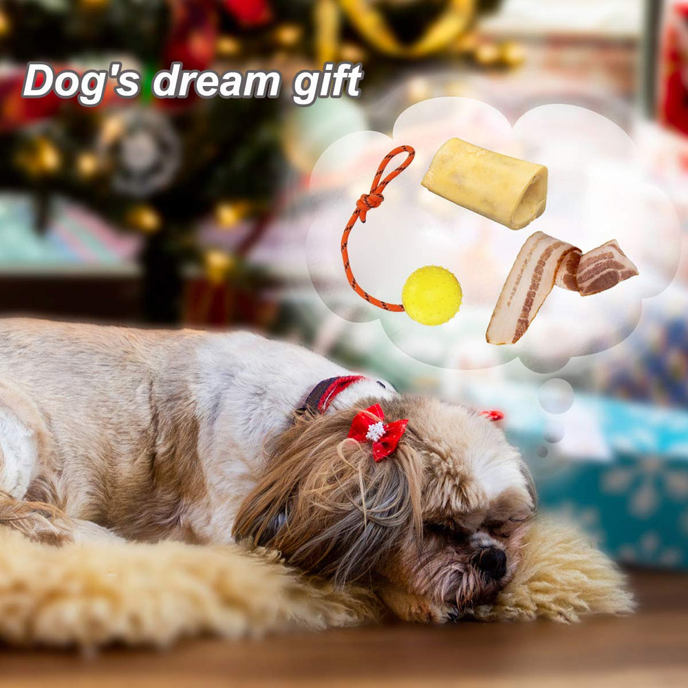 Nevperish dog ball reward training use supports motivation and interactive exercise.