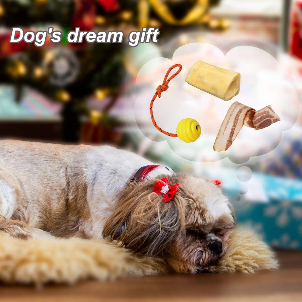 Nevperish K9 training ball with rope during tug sessions