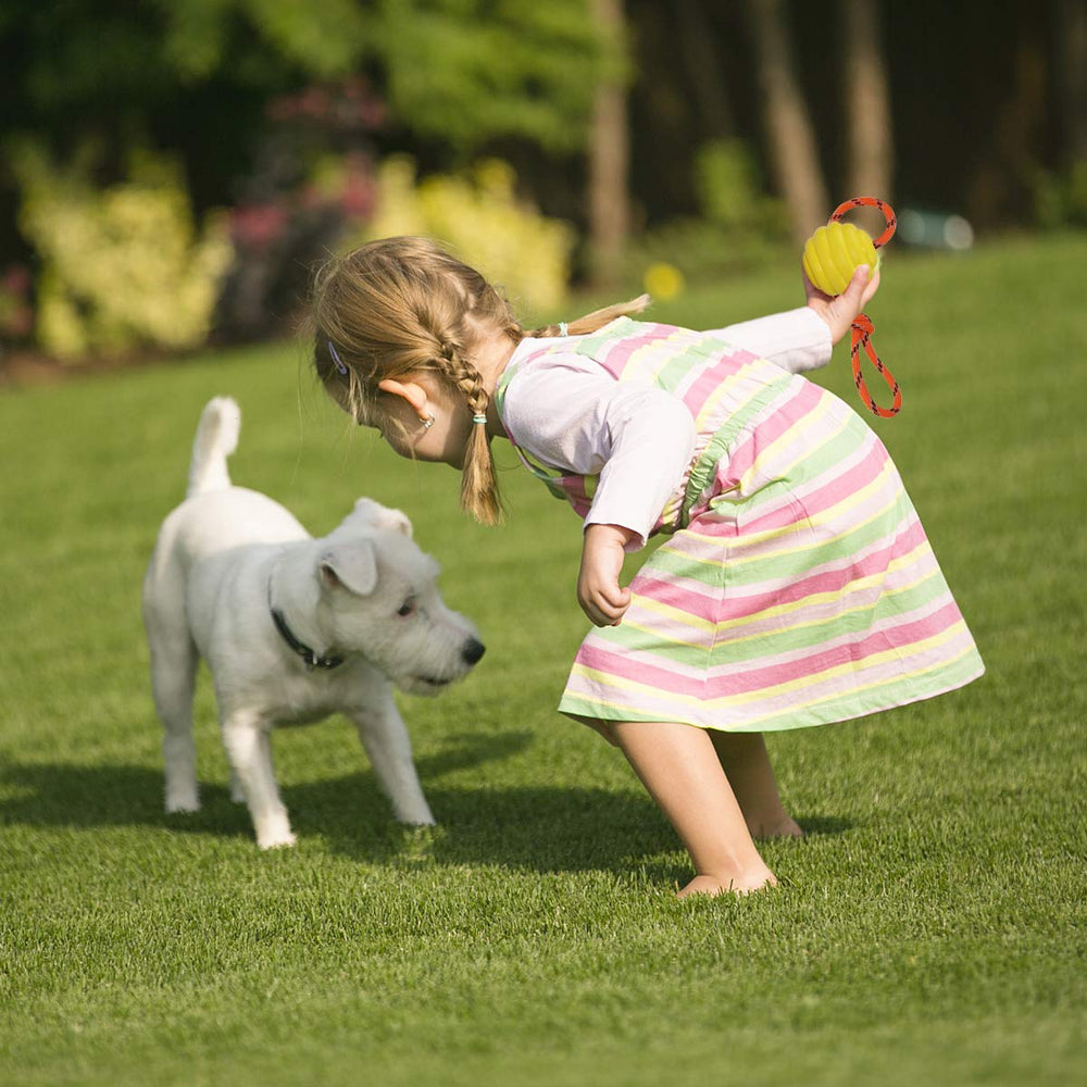 Nevperish K9 treat-fillable rope ball for extended training sessions