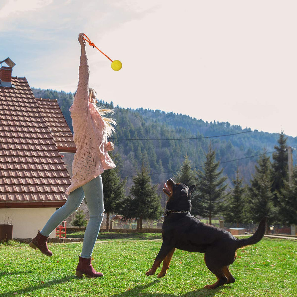 Nevperish police/military dog training ball demonstrates professional-grade performance.