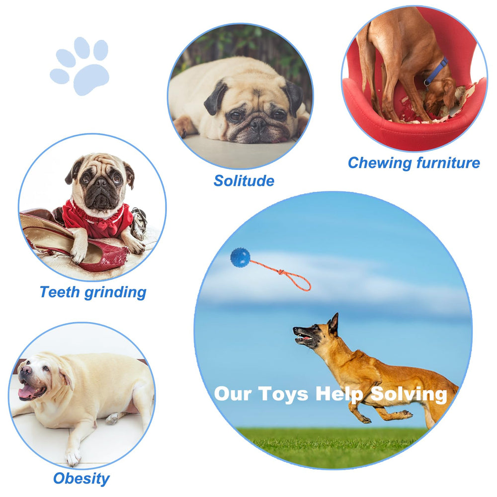 Nevperish training ball for dogs demonstrating durable rubber and rope