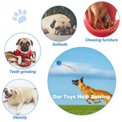Nevperish training ball for dogs demonstrating durable rubber and rope