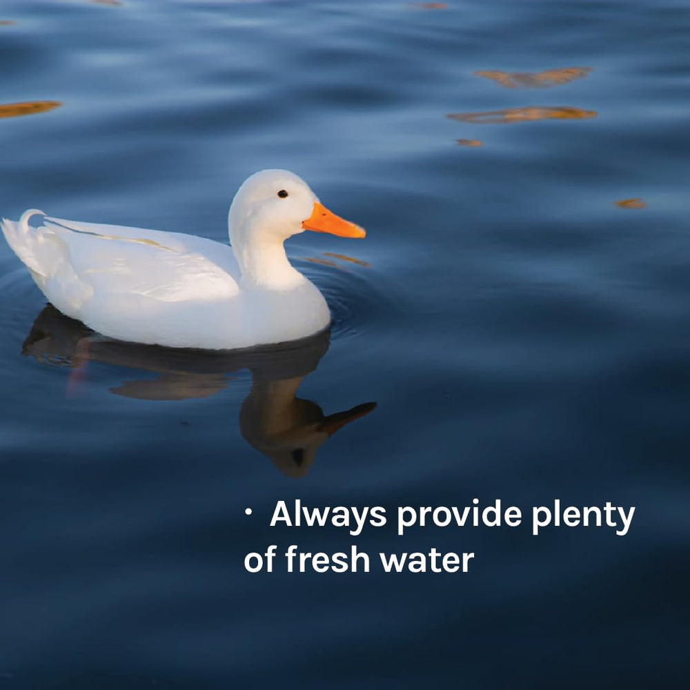 New Country Organics duck layer feed is North American sourced for quality.