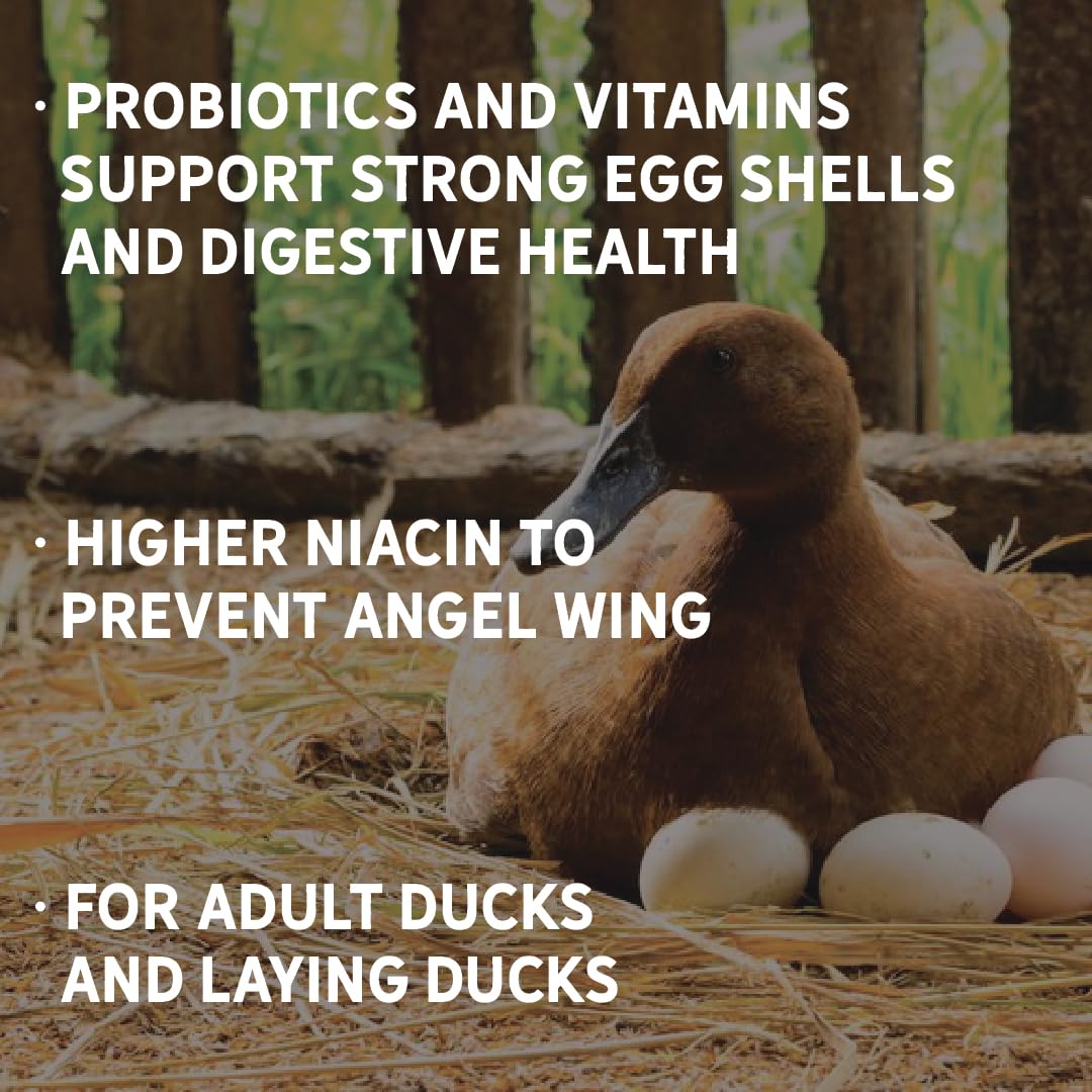 New Country Organics duck layer feed includes probiotics and vitamins for digestion.