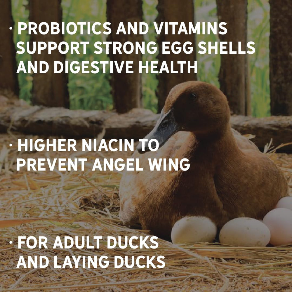 New Country Organics duck layer feed includes probiotics and vitamins for digestion.