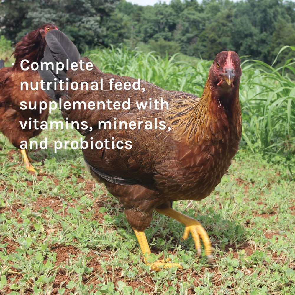 New Country Organics eggshell-support diet from corn-free formula.