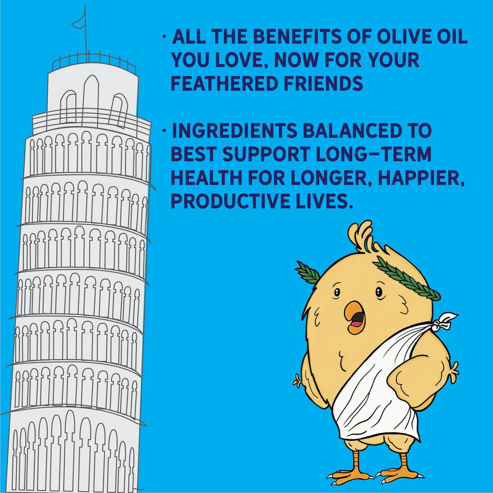 New Country Organics olive oil layer feed-chickens-feeding shows hens in coop enjoying a balanced, protein-rich ration.