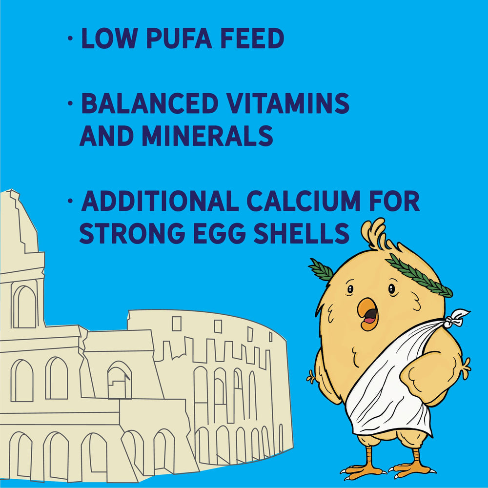 New Country Organics olive oil layer feed-eggs-shell-boost suggests stronger eggshells and healthier appearances.