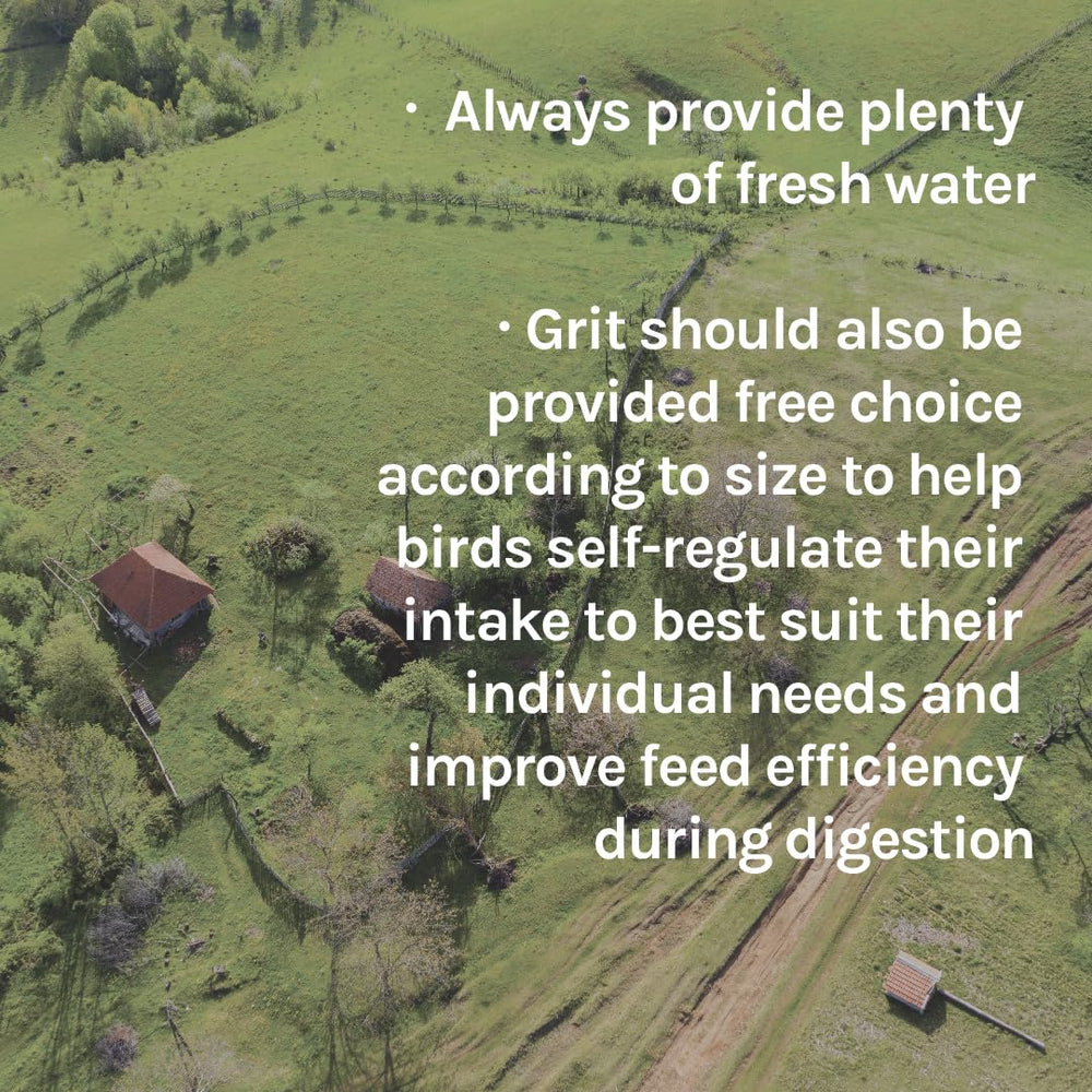 North American certified organic grains used by New Country Organics.