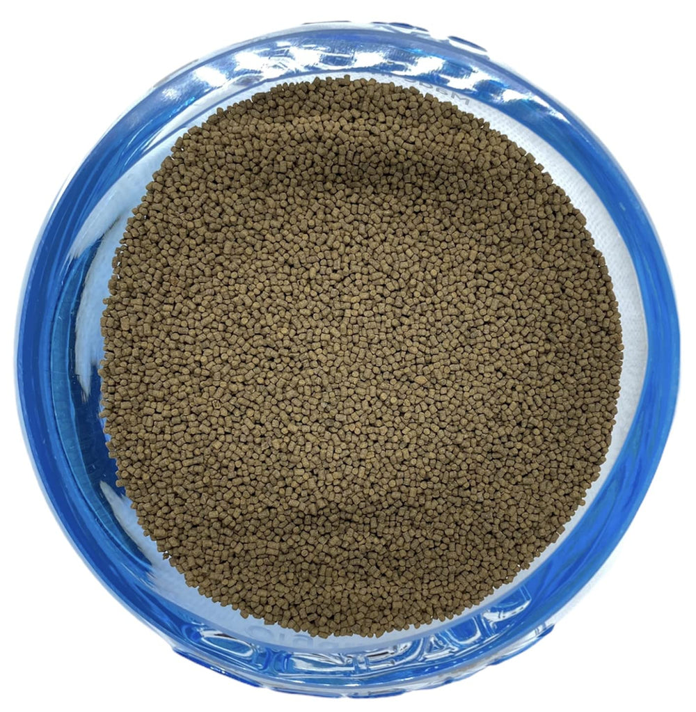 New Life Spectrum Ginger-Garlic blend notes for immune-friendly feeding of marine fish.