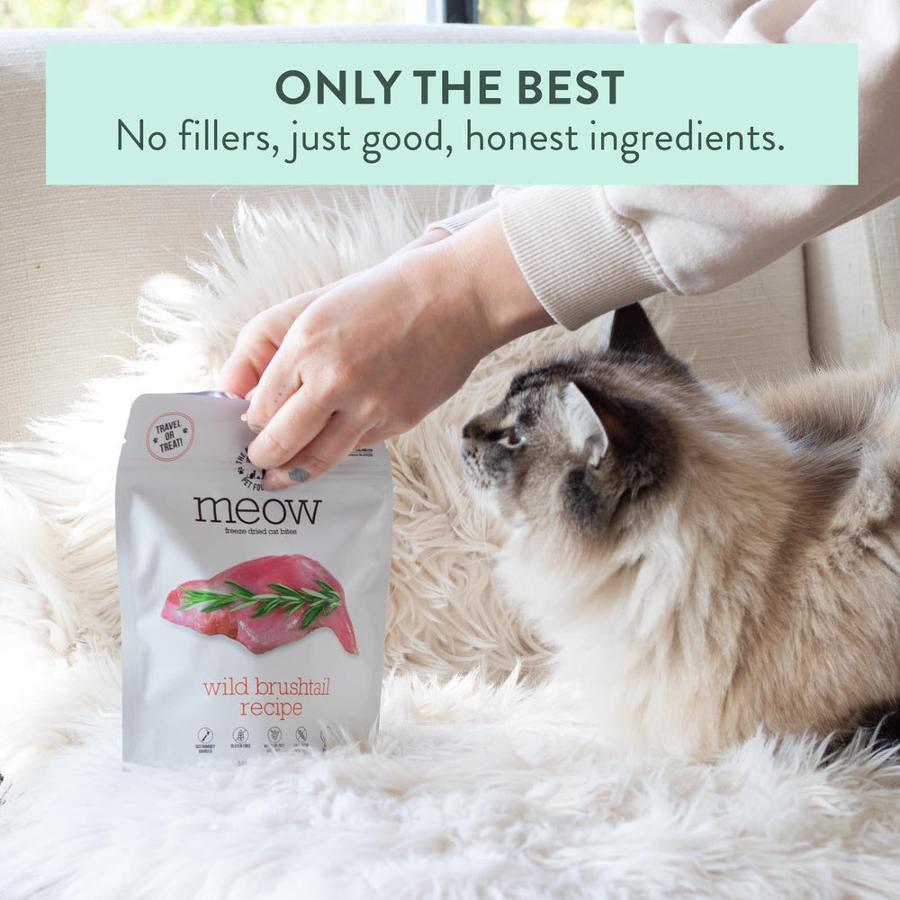 The New Zealand Natural Pet Food Co. Meow small-batch NZ-made packaging signals freshness and premium quality