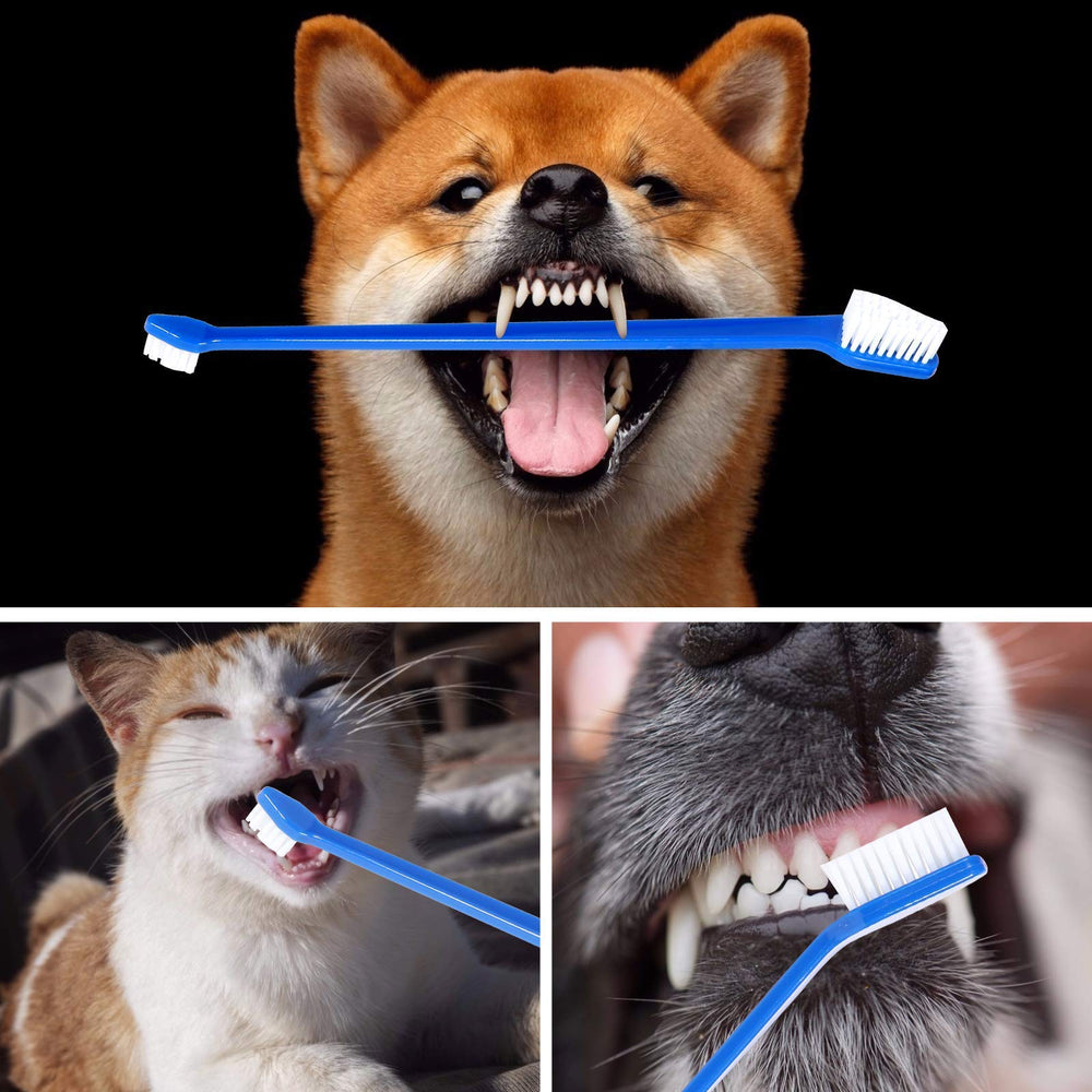 Newday blue-handled pet toothbrush offers comfortable grip for brushing.