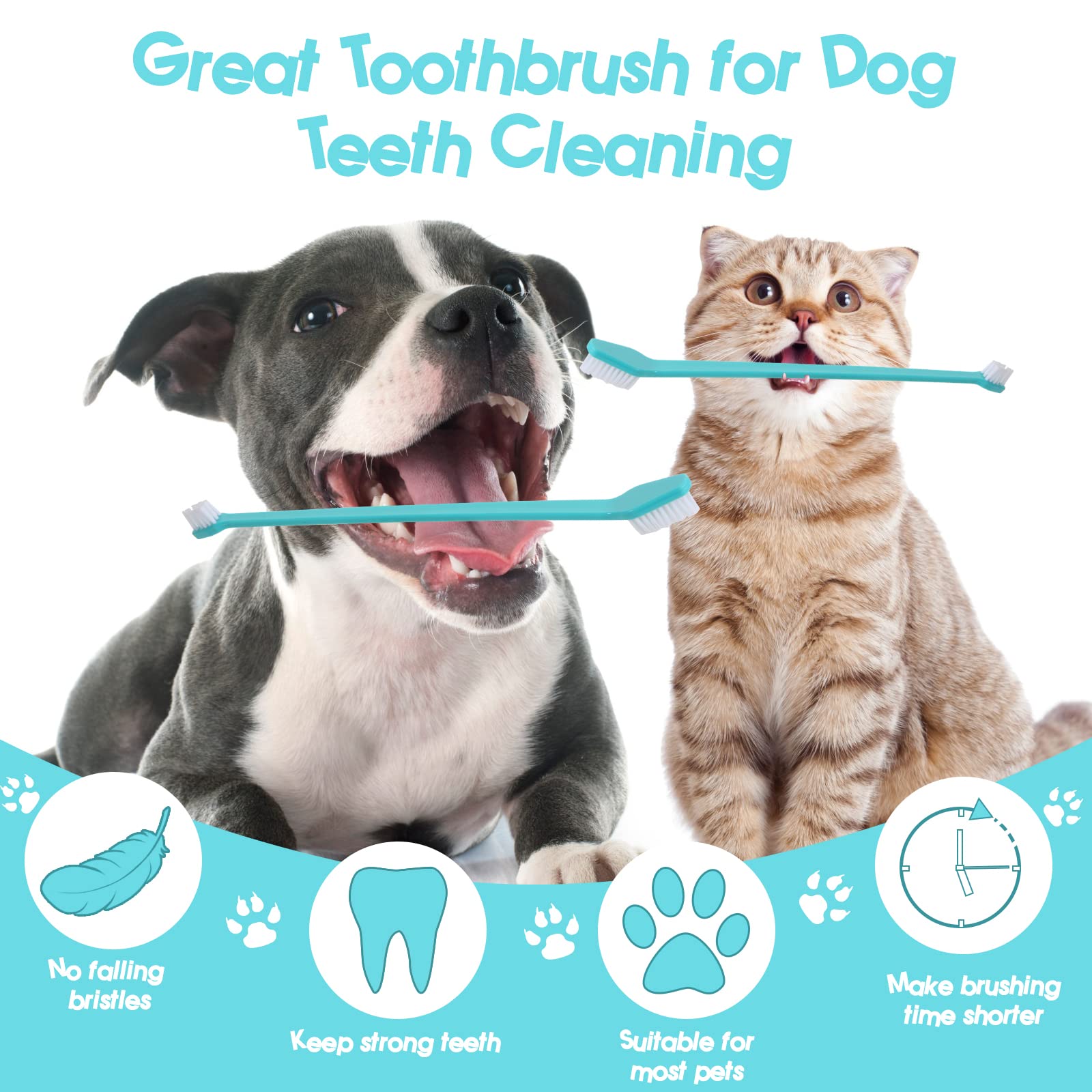 Newday complete oral care supports fresher breath and clean gums.