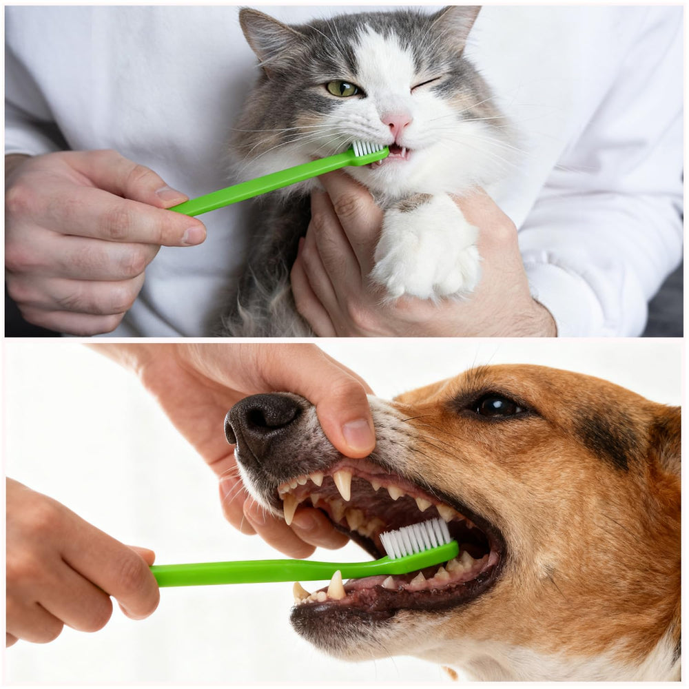 Newday dog toothbrush for dogs and cats supports versatile dental hygiene at home.