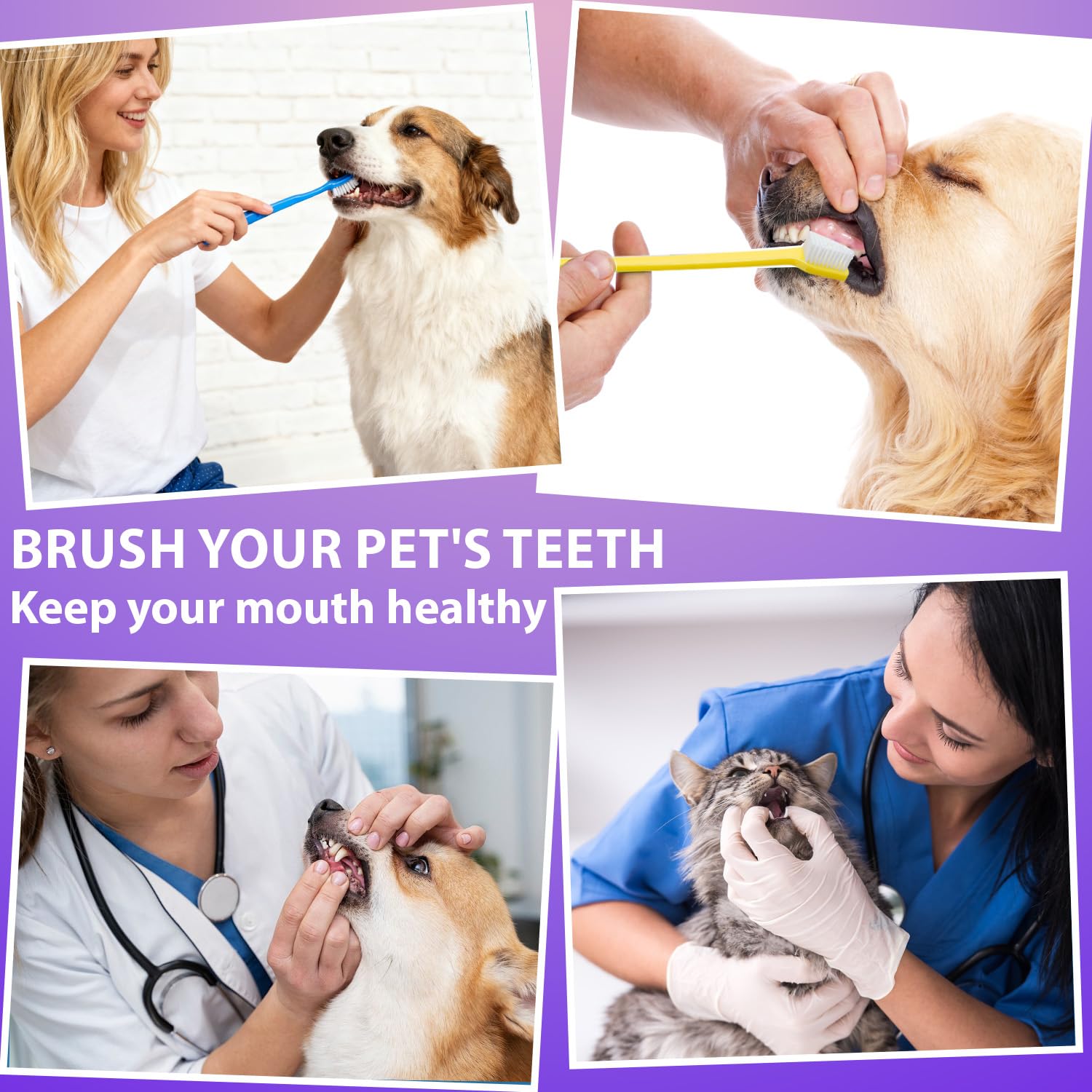 Newday dog toothbrush set bulk pack ideal for refills or shared households.