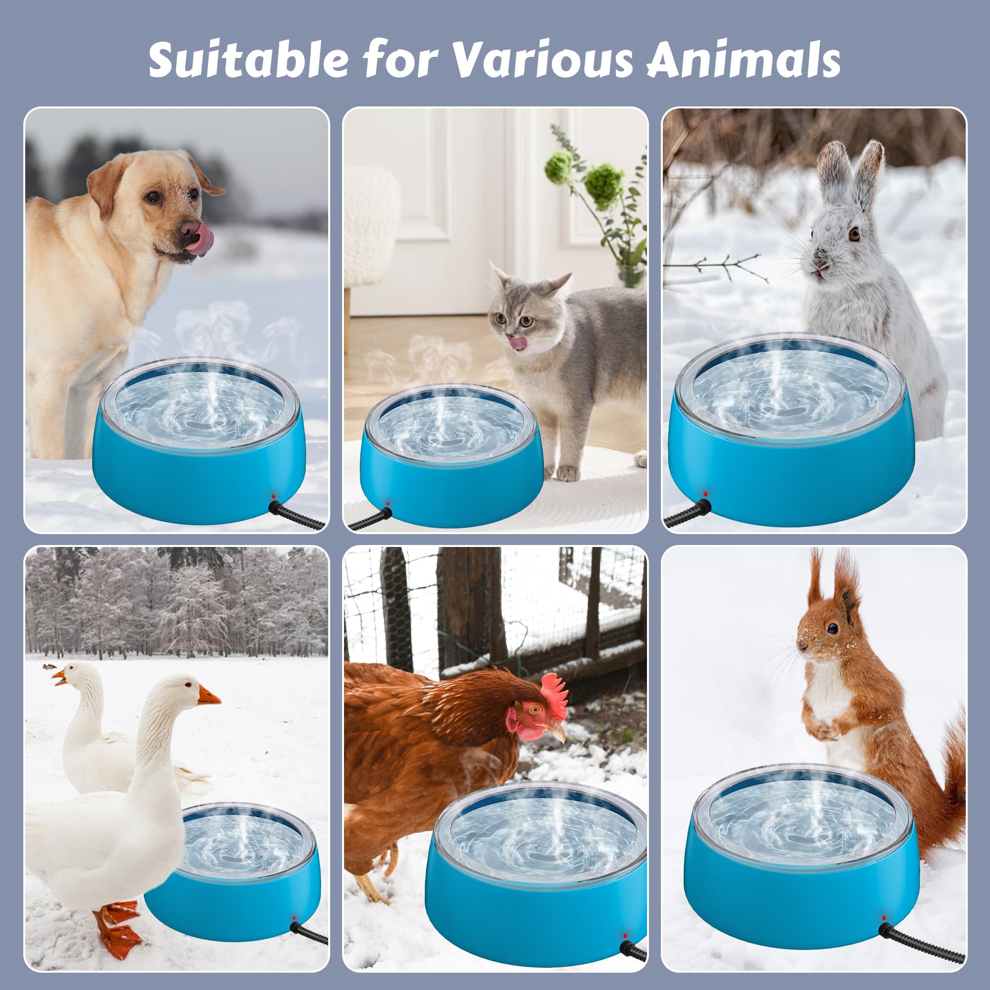 Newget winter-use water bowl provides warm water for cats and rabbits.