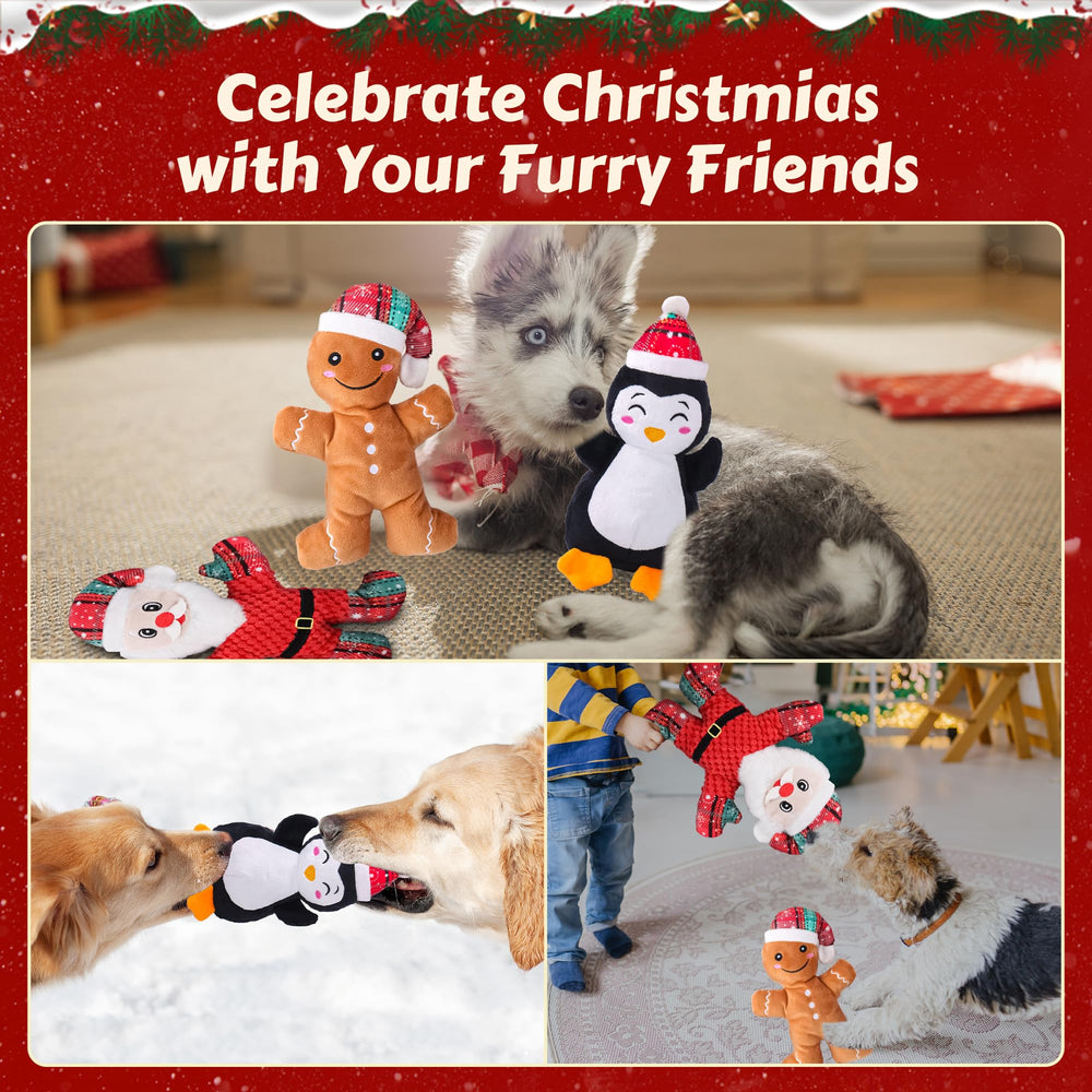 Newget Christmas gift-box of dog toys for holiday gifting.